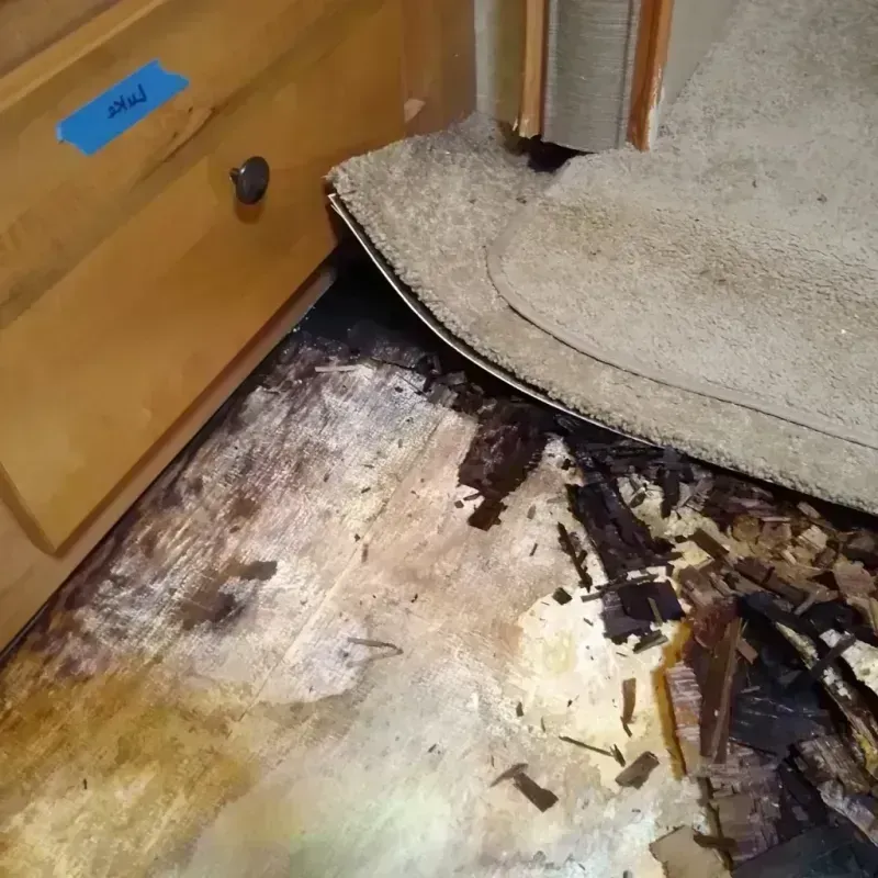 Wood Floor Water Damage in Nashville, IL